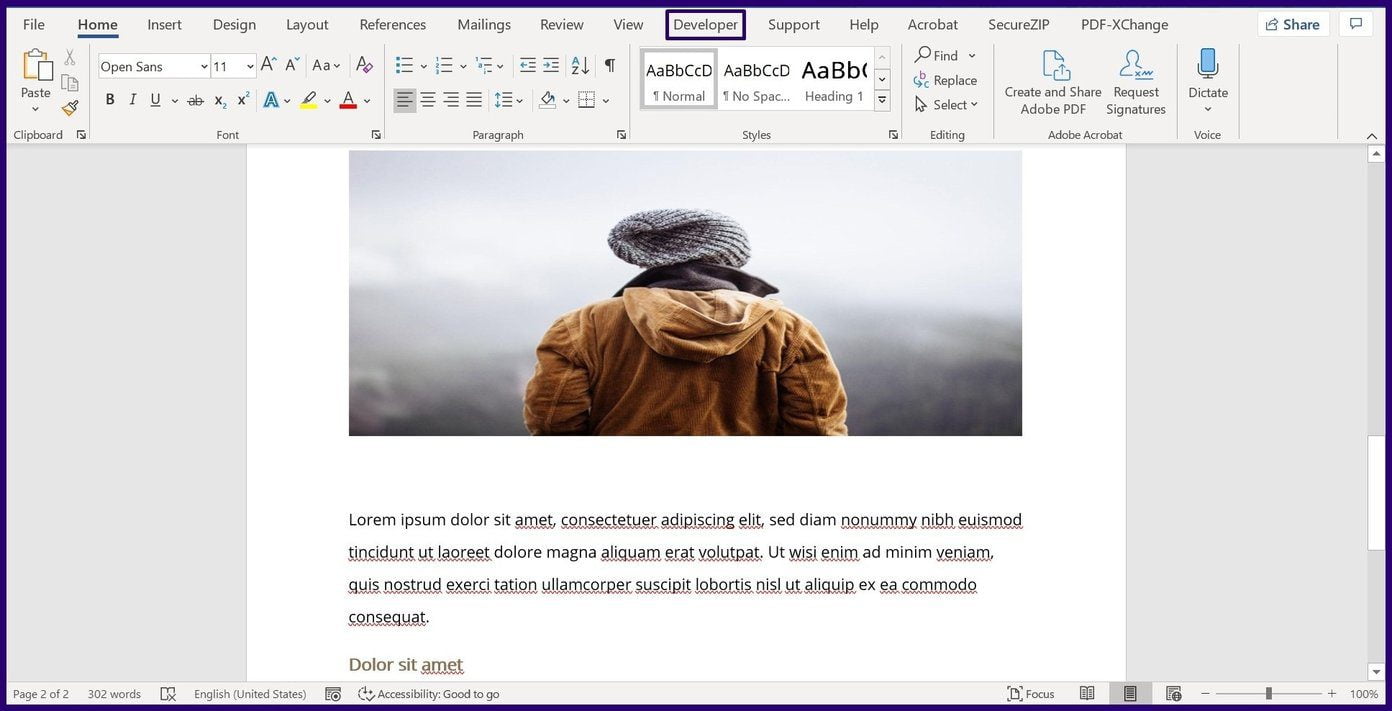 Mengamankan gambar menggunakan fungsi Kontrol Konten Gambar dari tab Pengembang di Microsoft Word